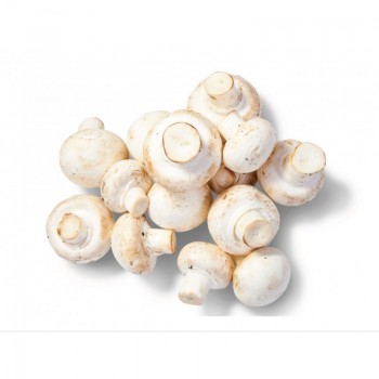 Champignon de Paris - 1 kg