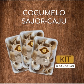 KIT Sajor-caju 3 bandejas